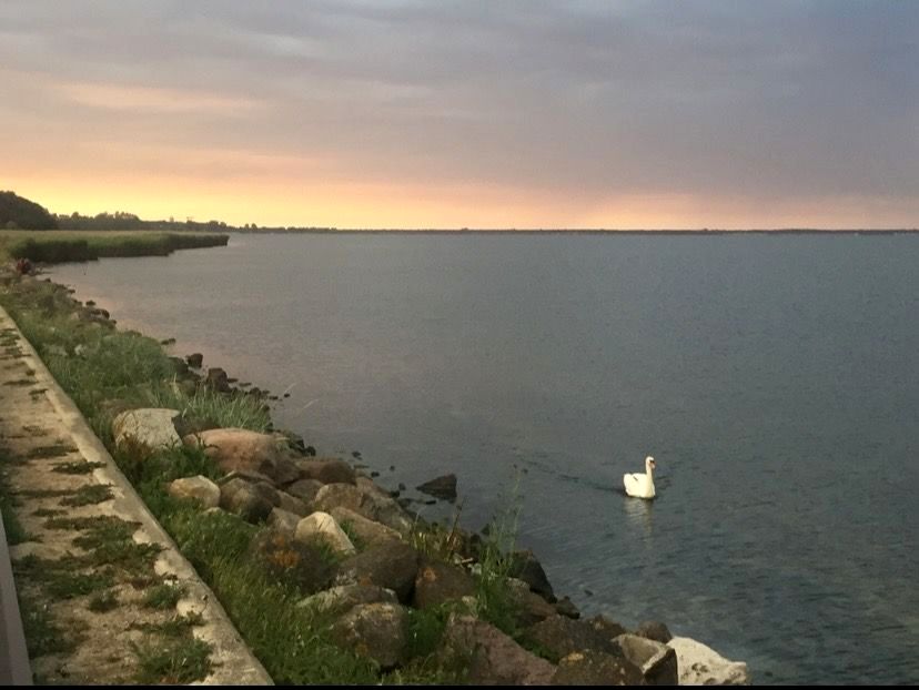 Działka Władysławowo