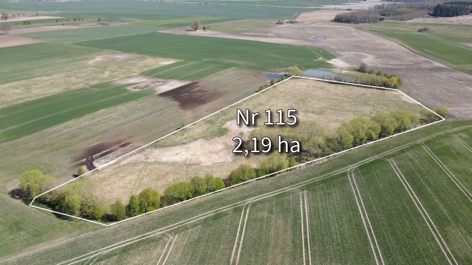 Zdjęcie 3