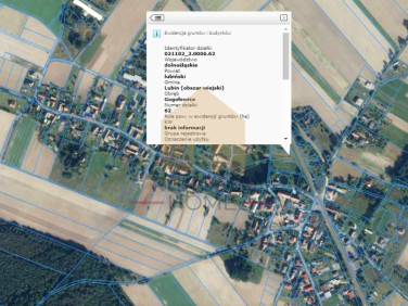 Działka Gogołowice