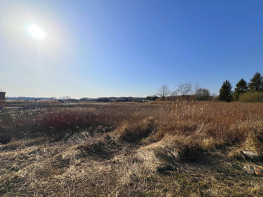 Działka Brzezia Łąka