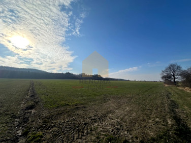 Działka rolna sprzedam