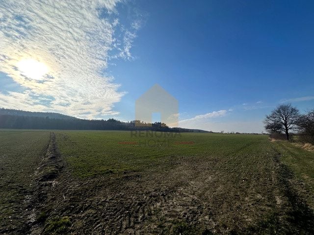 Zdjęcie 2