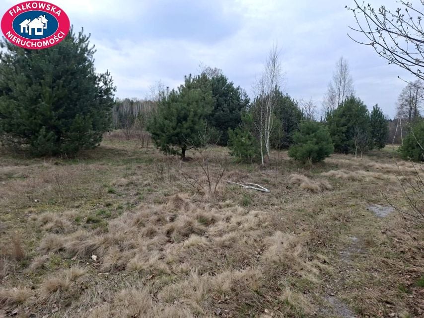 Zdjęcie 3