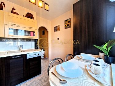 Mieszkanie przy lesie