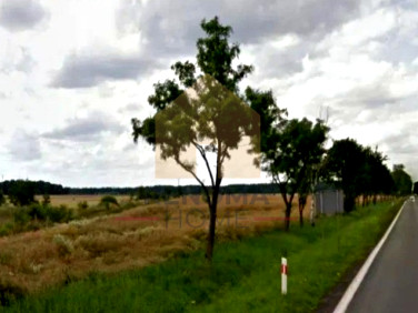 Działka rolna Kawice