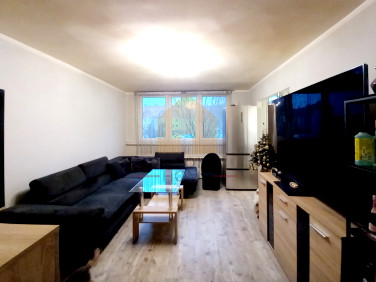 Mieszkanie Polkowice