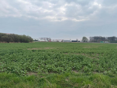 Działka przemysłowa Nowa Wieś Wrocławska