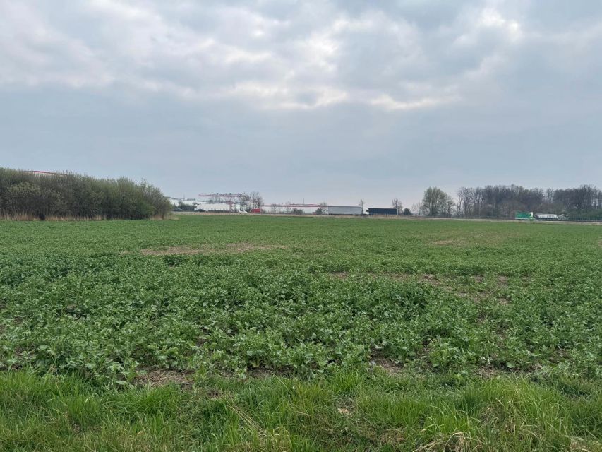 Działka przemysłowa Nowa Wieś Wrocławska