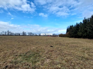 Działka budowlana Cholerzyn