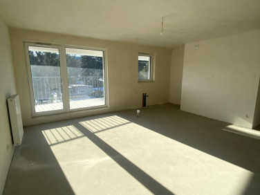 Mieszkanie przy lesie