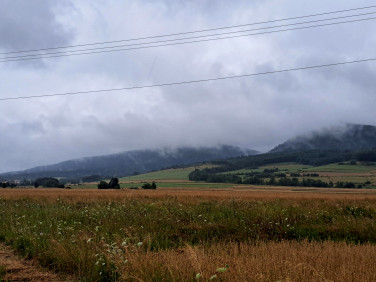 Działka rolna Dzielec