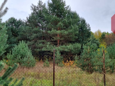 Działka budowlana Puszcza Mariańska