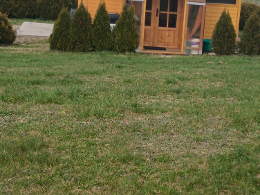 Działka Kożuchy Wielkie