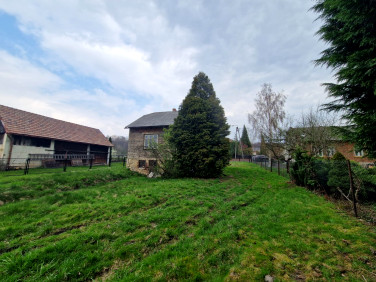 Dom wolnostojący sprzedaż