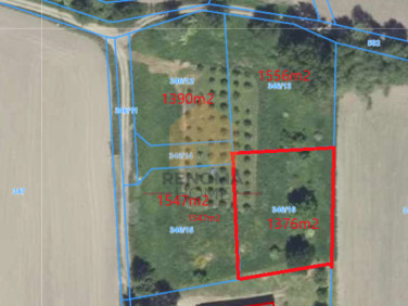 Działka budowlana Słupice sprzedam