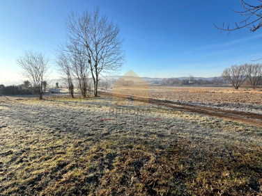 Działka Grodziszcze