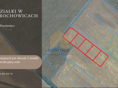 Działka Prochowice