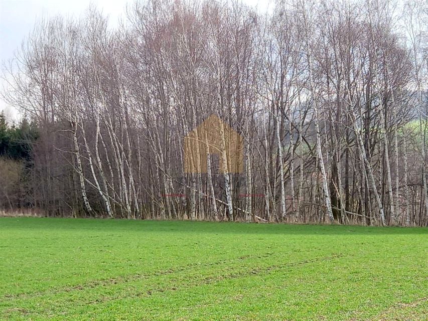 Zdjęcie 3