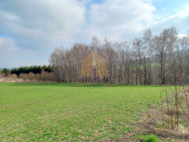 Działka Witoszów Górny