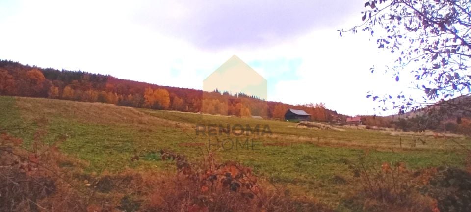Zdjęcie 3