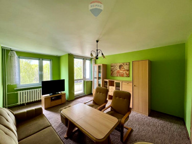 Mieszkanie Wodzisław Śląski