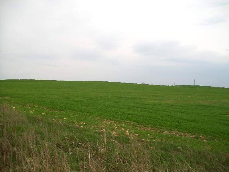 Działka Częstochowa