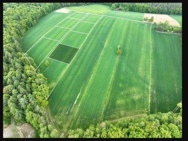 Działka siedliskowa Nasiechowice