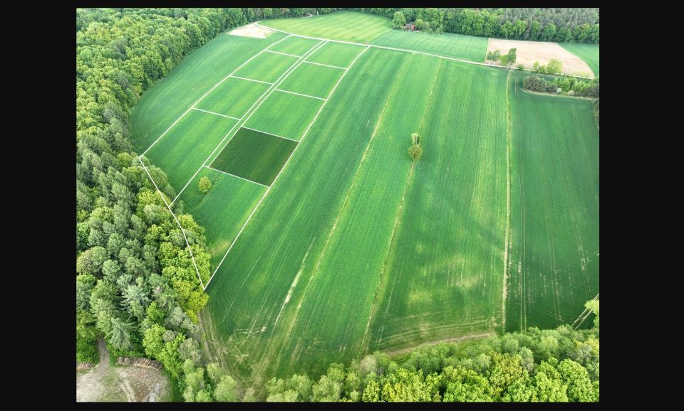 Działka siedliskowa Nasiechowice