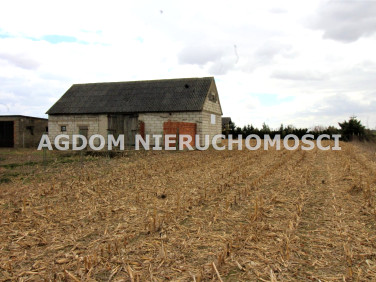 Działka budowlano-rolna Brzezie