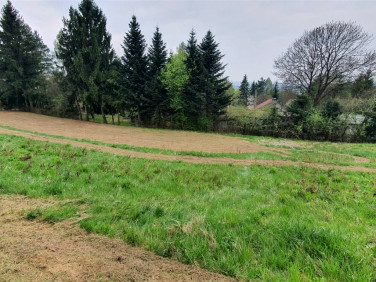 Pusta działka Siercza