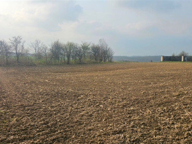 Działka budowlana Celiny