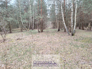 Działka Kamieńczyk