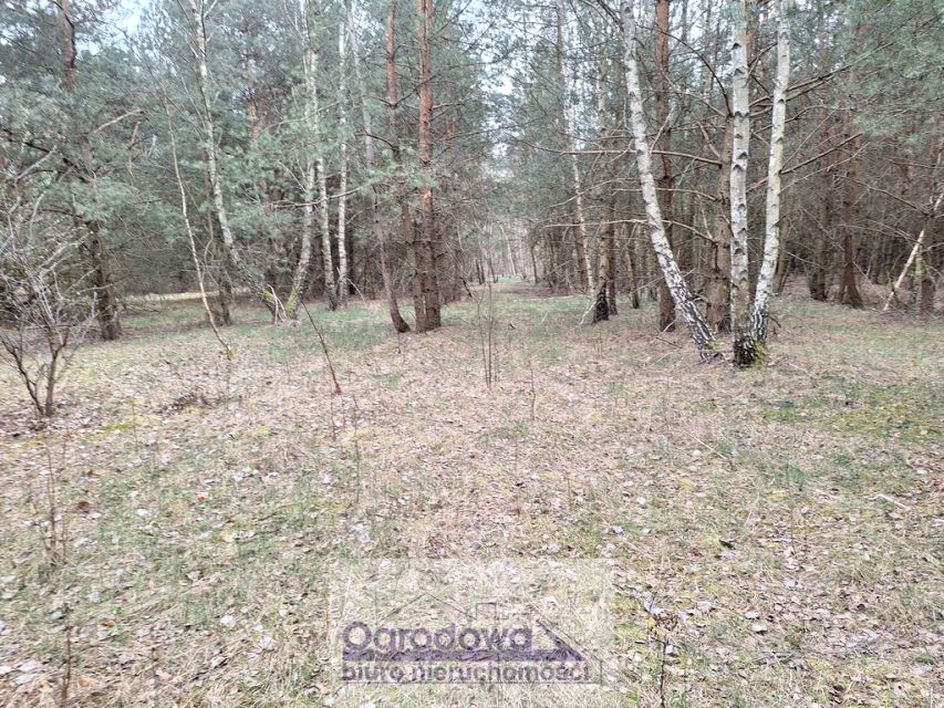 Działka Kamieńczyk