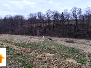 Działka Błędowa Tyczyńska