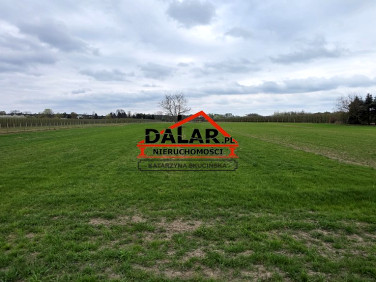 Działka budowlano-rolna Wólka Dworska
