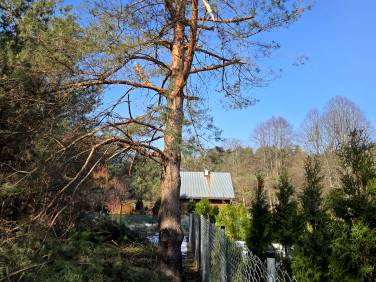 Działka rekreacyjna Guzowy Piec