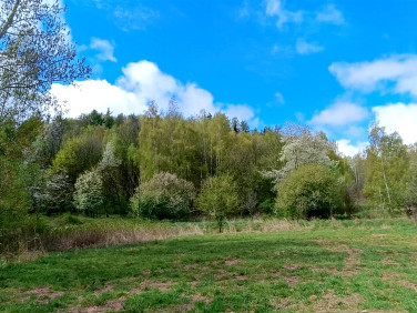 Działka budowlana Jemna sprzedam