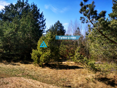 Działka Nowa Kiszewa