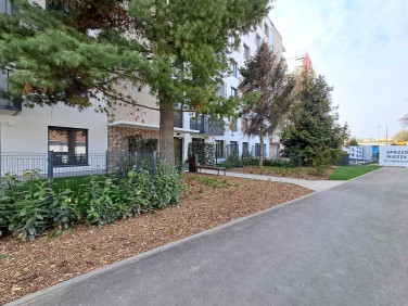 Mieszkanie Wrocław wynajem