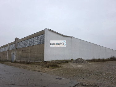 Budynek użytkowy Toruń