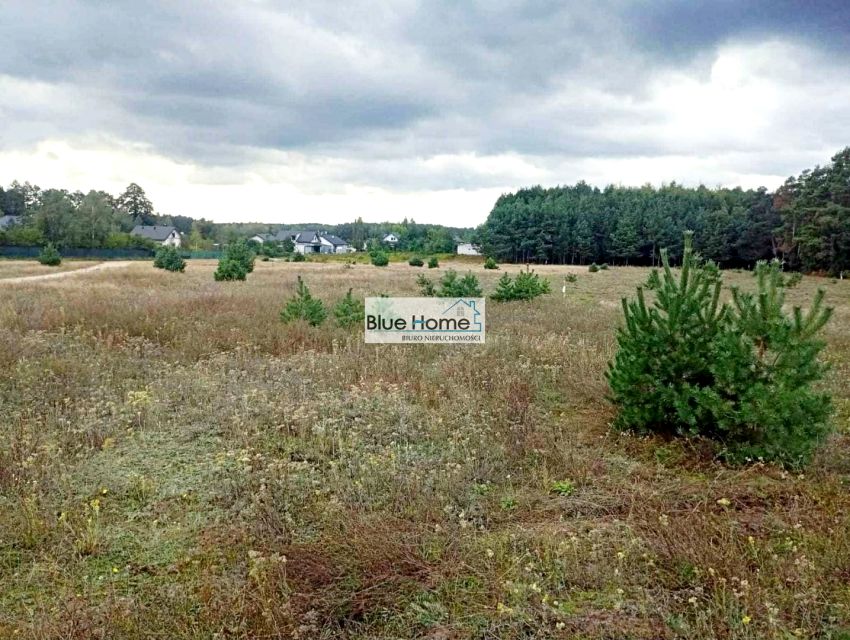 Pusta działka Sąsieczno