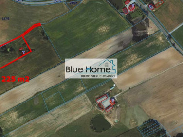 Pusta działka Trutowo