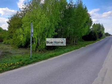 Pusta działka Obrowo