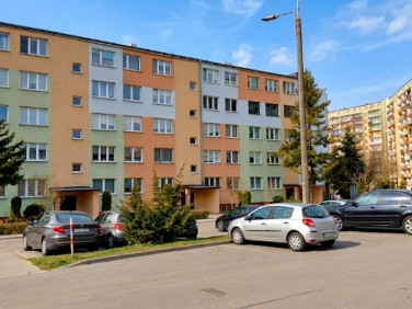 Mieszkanie Bełchatów