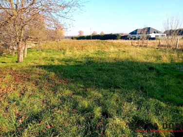 Działka budowlana Dolice