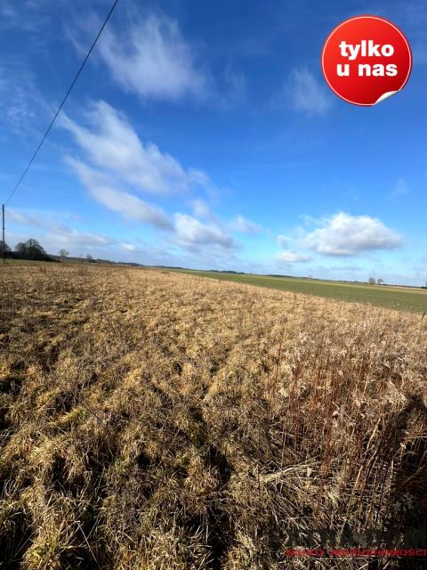 Działka budowlana Kościuszki