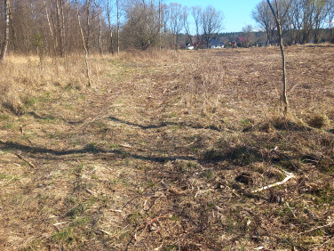 Działka rolna Szumiąca