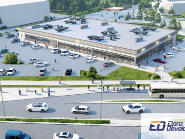 Lokal Białystok