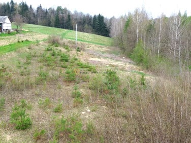 Działka Zakliczyn (gw)