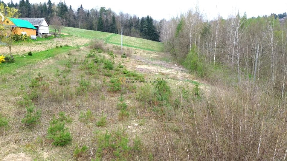 Działka Zakliczyn (gw)